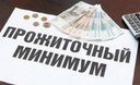 ПРОЖИТОЧНЫЙ МИНИМУМ