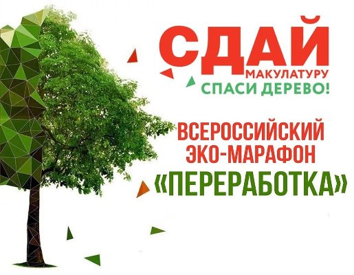 Весной 2024 года в Челябинской области пройдет экологическая акция «Сдай макулатуру – спаси дерево!»