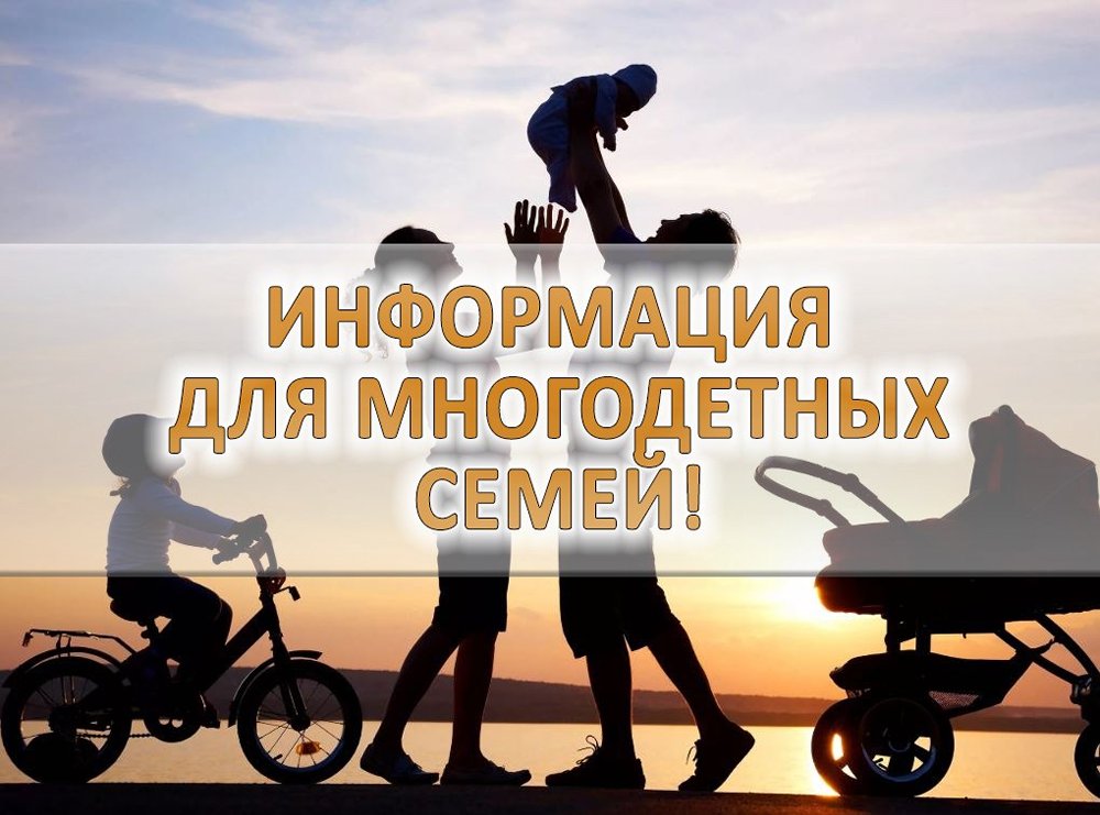 Ежемесячная выплата на проезд детей из многодетных семей